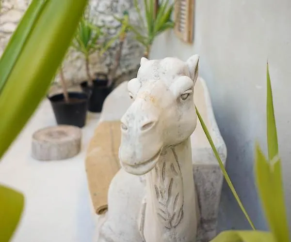 Center With Pool Appart hôtel 4*