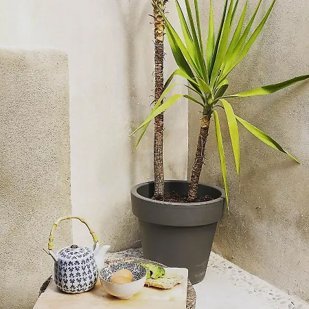 Apartmanhotel Center With Pool