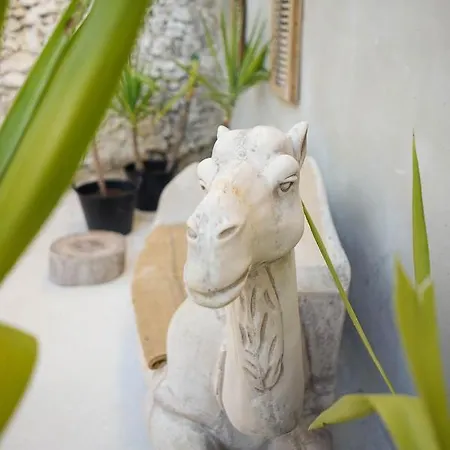 Center With Pool Apartmanhotel 4*