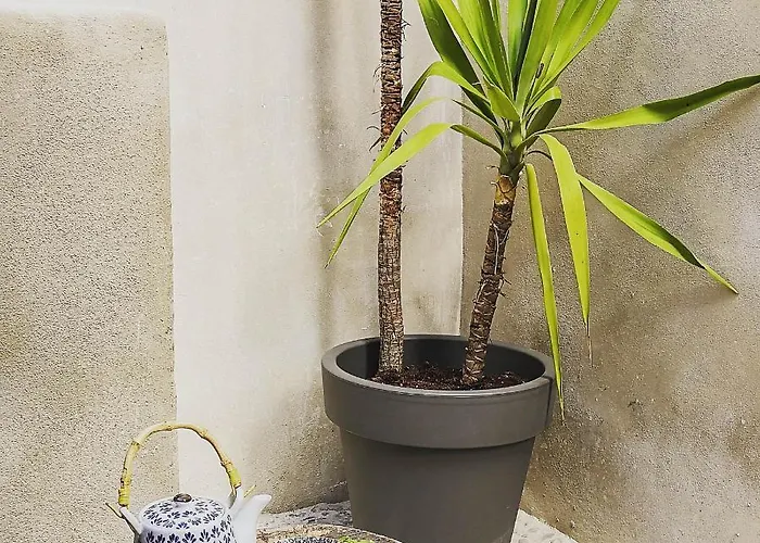 מלון דירות Center With Pool