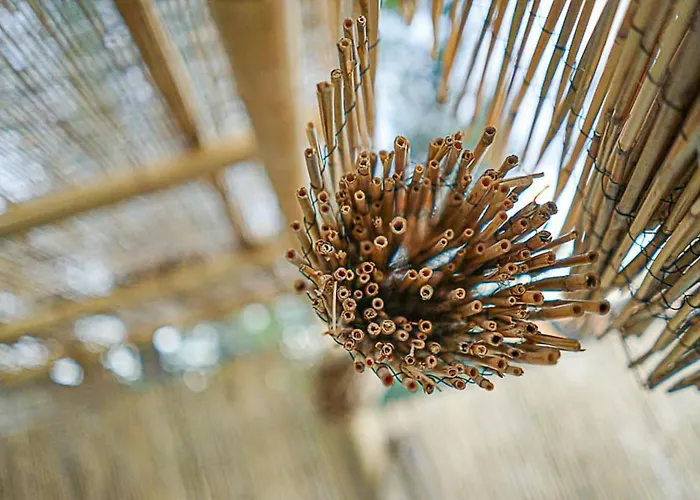 Center With Pool Hotel apartamentowy