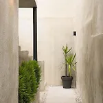 Center With Pool