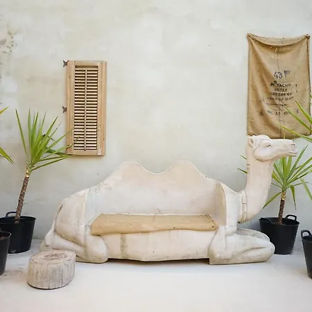 Center With Pool Ронда